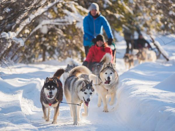 Dogsledding
