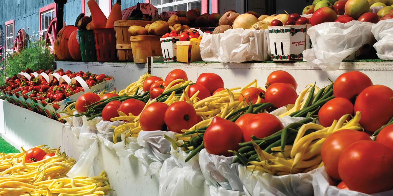 Vegetables at the market