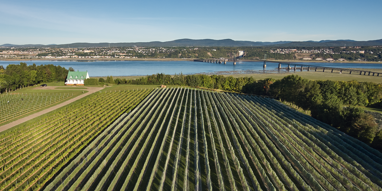 Ile d'Orléans field