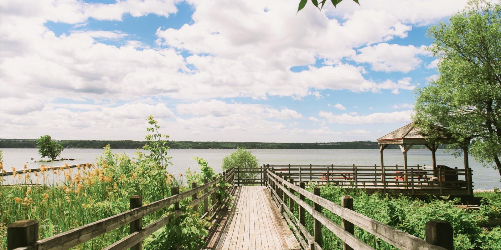 fleuve et passerelle