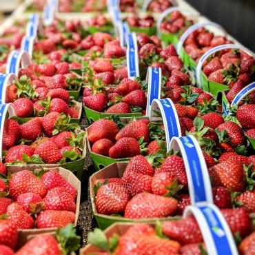 Grand marché de Québec